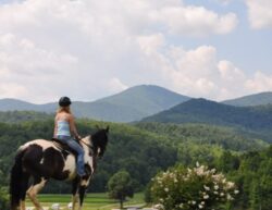 Escape to the Mountains at R-Ranch