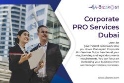 Streamline Operations with Corporate PRO Services Dubai