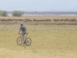 Top 8 Best Experiences on Tanzania Safari Holiday