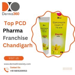 Derma360 Private Limited – Top PCD Pharma Franchise Chandigarh