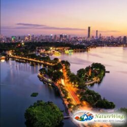 Discover Hanoi’s Charm on a Vietnam Tour Package from Kolkata