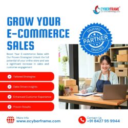 E commerce Services Provider in Ludhiana | Ecyberframe