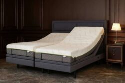 Adjustable Beds With Mattress