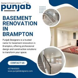 Expert Basement Renovation In Brampton | Punjab Designers