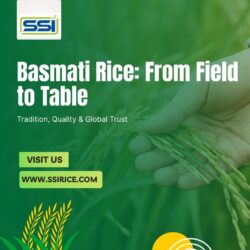 SS Industries – Leading Basmati Rice Exporters in India