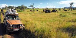 Best 9 Activities on Serengeti Safari Tours
