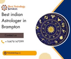 Best Indian Astrologer in Brampton – Trusted Vedic Expert for Accurate Guidance