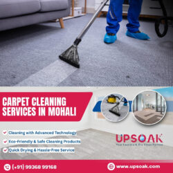 Expert Carpet Cleaning Services in Mohali