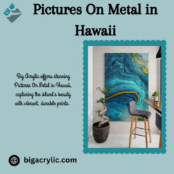 Pictures On Metal in Hawaii