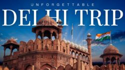 Delhi Darshan Bus Tour Package @ ₹299 per Person by Malhotra World Travels