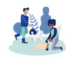 Canine Liability Insurance