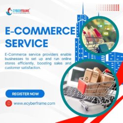 Ecyberframe | E Commerce Services Provider in Ludhiana