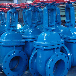 Gate Valve in Saudi Arabia