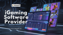 iGaming Software Provider
