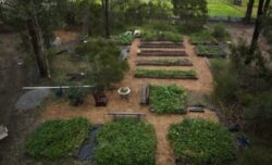 Railway Sleeper Specialists – Experts in Milled Boards and Timber Retaining Walls