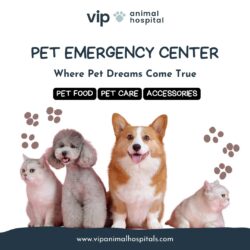 24/7 Pet Emergency Center Near Fullerton