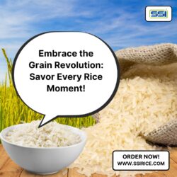 Premium Long Grain Basmati Rice Manufacturers in India
