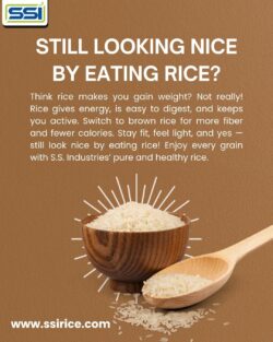 Your Guide to the Best Basmati Rice Manufacturers in India