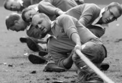 Best business accountant near me