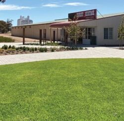 Eureka Kikuyu adelaide