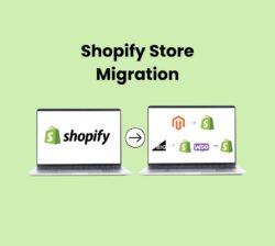 Upgrade Your eCommerce Store with Expert Shopify Migration Services | Kiwi Commerce