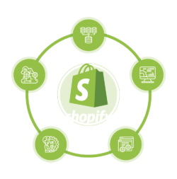 Shopify eCommerce Development Experts – KiwiCommerce