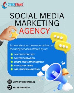 Social Media Marketing Agency In Ludhiana