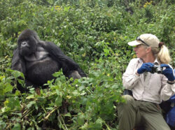 Top 8 Mistakes to Avoid During Gorilla Tracking Rwanda