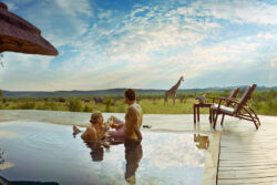 Top 5 Things to Do on Your Luxury Safari Tanzania