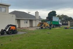 Tree Removal Glen Iris