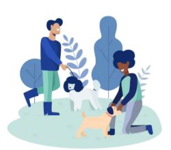 Dog Liability Insurance