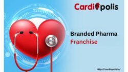 Branded Pharma Franchise in India