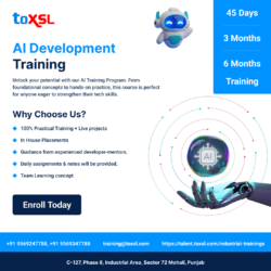 AI Development Training in Mohali | ToXSL Technologies