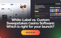 White-Label vs. Custom Sweepstakes Casino Software