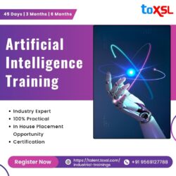 AI Training in Mohali | ToXSL Technologies