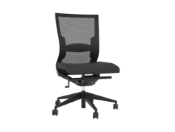 OL Balance Project Chair with Lumbar