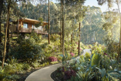 Best 8 Reasons for Booking Luxury Rwanda Safaris