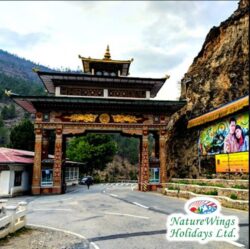 Bhutan Tour Packages from Bangalore: Your Journey into Peace, Culture & Spirituality