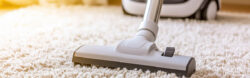 Residential carpet cleaning Adelaide