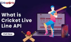 Cricket Data API for Developers: Power Real-Time Scores, Stats & Live Cricket Apps