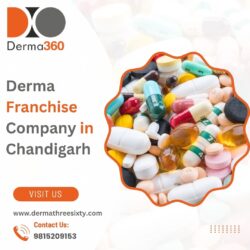 Derma360 Private Limited – Trusted Derma Franchise Company in Chandigarh