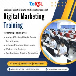 Digital Marketing Training in Mohali | ToXSL Technologies