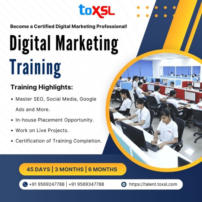 Digital Marketing Training in Mohali | ToXSL Technologies