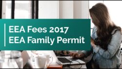 Post-Brexit Pathways: A Diagnostic Guide for Families of EU Nationals in the UK