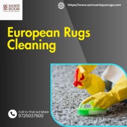 European Rugs Cleaning