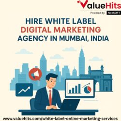 Hire White Label Digital Marketing Agency in Mumbai, India