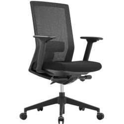 ST Kube Low Back Executive Chair