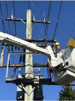 Level 2 Electrician Ashfield