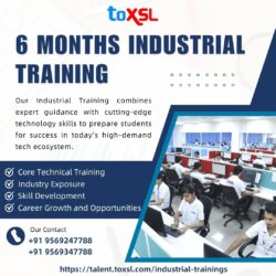6 Months Industrial Training in Mohali | ToXSL Technologies