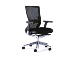 OL Balance Executive Chair with Lumbar